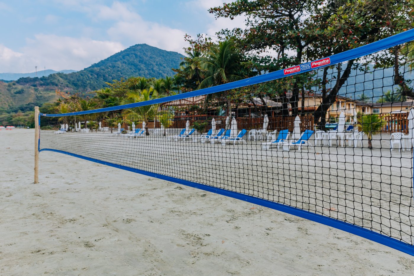 Frutas do mar frescas